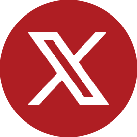 x icon
